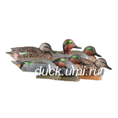 Чирок-свистунок