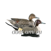 GREENHEAD GEAR Шилохвость