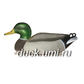 Кряква 70001