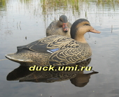 GREENHEAD GEAR Кряква "активная"