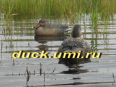 GREENHEAD GEAR Кряква "Отдыхающая"