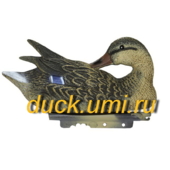 Кряква PR 02