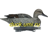 Шилохвость STD 04